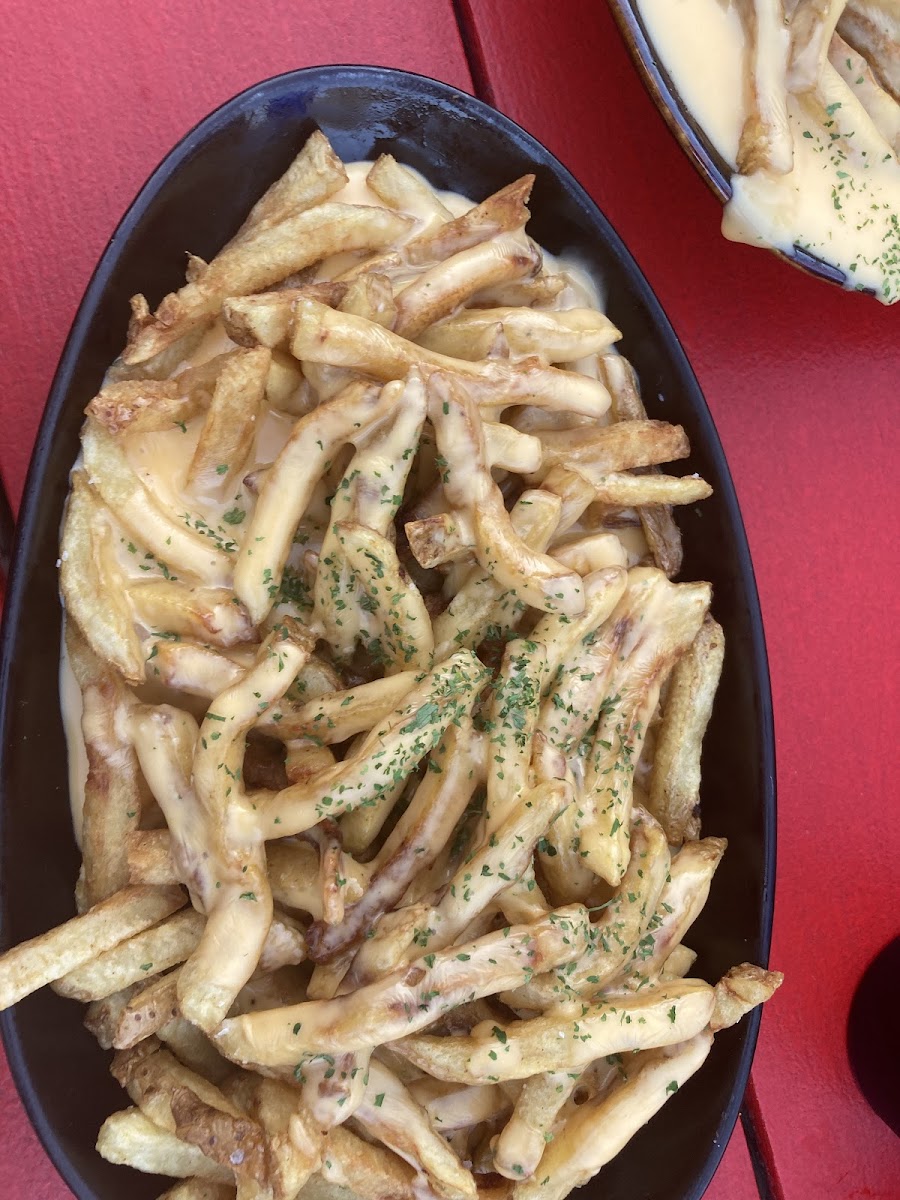 GF cheesy fries