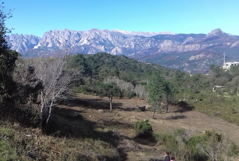  Vente Terrain à bâtir - à Sari-Solenzara (20145) 