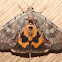 Woody Underwing - 8864