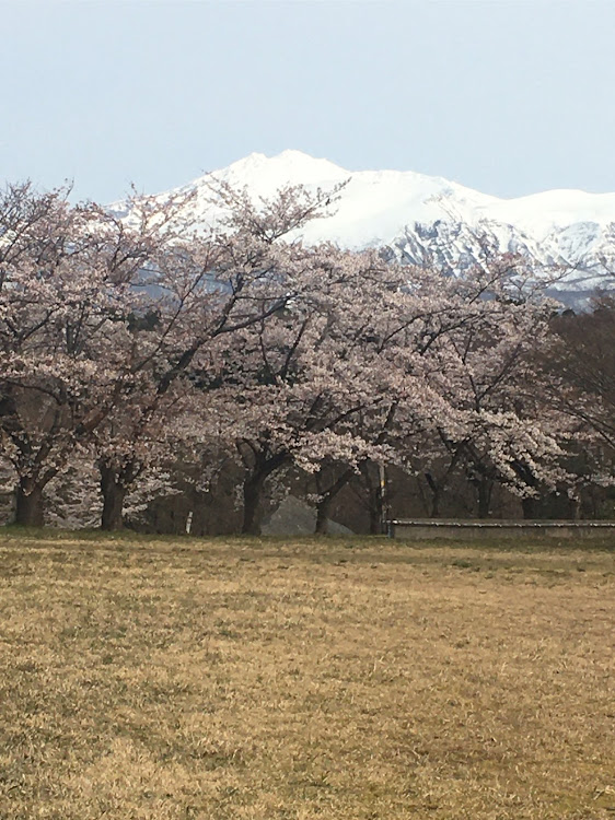 の投稿画像10枚目