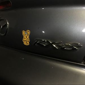 RX-8