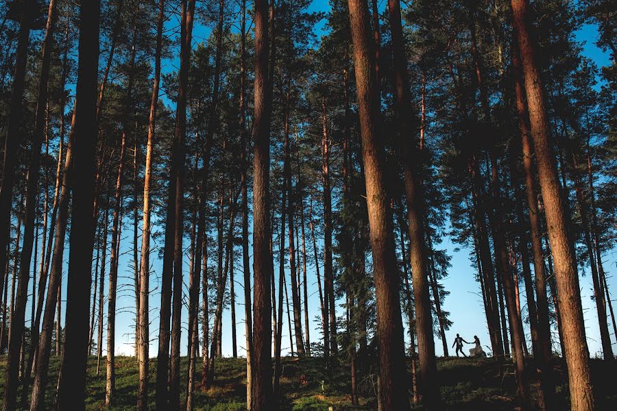 Bryllupsfotograf Krzysztof Karpiński (karpiski). Bilde av 5 april 2020