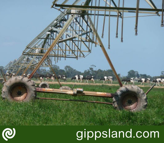 The Sustainable Irrigation in West Gippsland Program seeks to achieve a highly productive and sustainable irrigation community that values and protects its natural and cultural assets