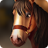 Horse Hotel - be the manager of your own ranch!1.7.0