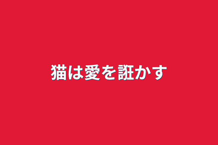 「猫は愛を誑かす」のメインビジュアル