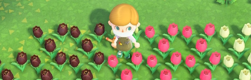 あつ森 チューリップの交配表と全色入手する方法 あつまれどうぶつの森攻略wiki 神ゲー攻略
