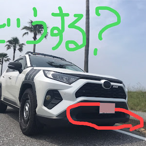 RAV4 MXAA54