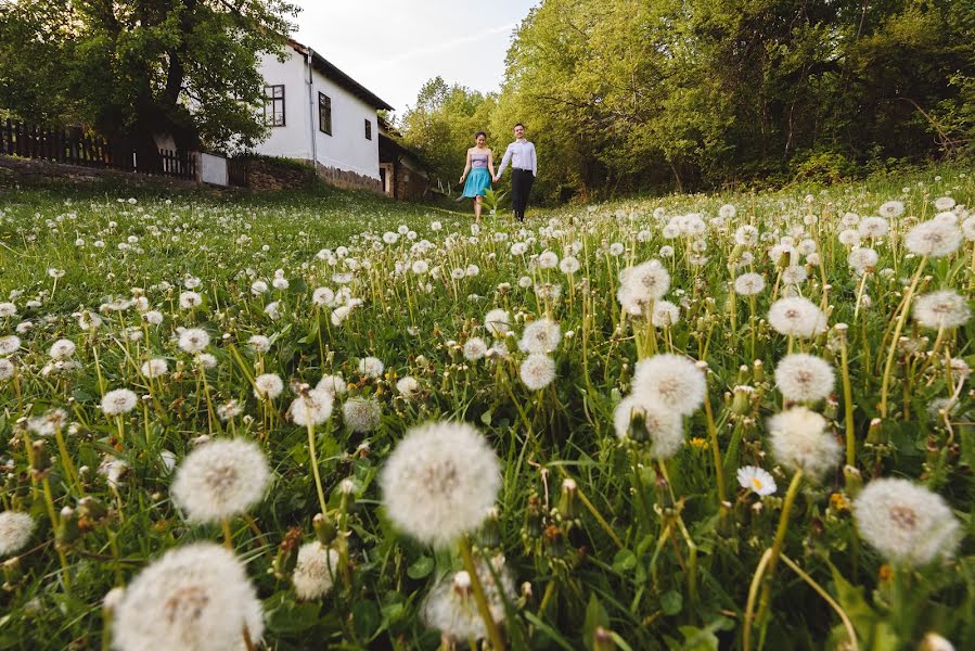 Fotografer pernikahan Nikolay Mitev (nmitev). Foto tanggal 9 Mei 2018