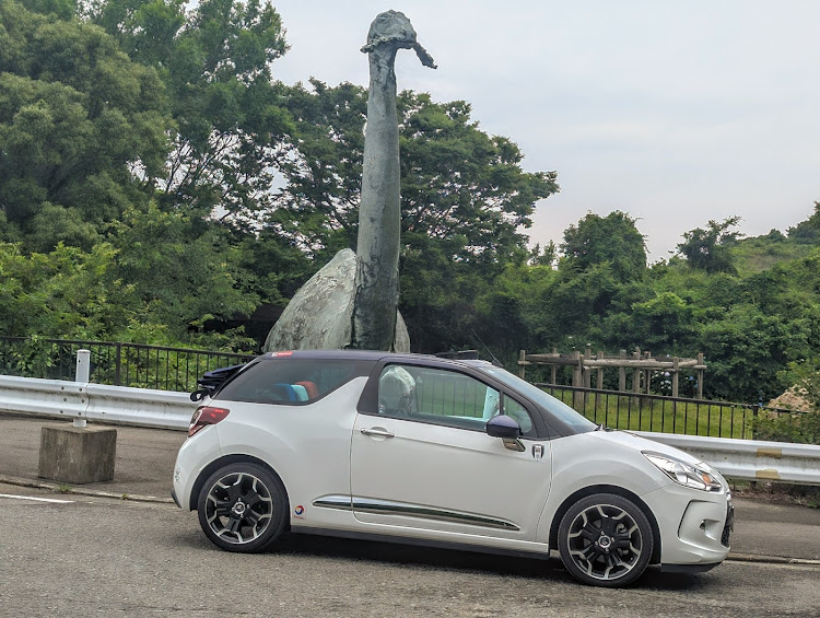 DS3 カブリオの恐竜公園に関するカスタム事例の投稿画像3枚目