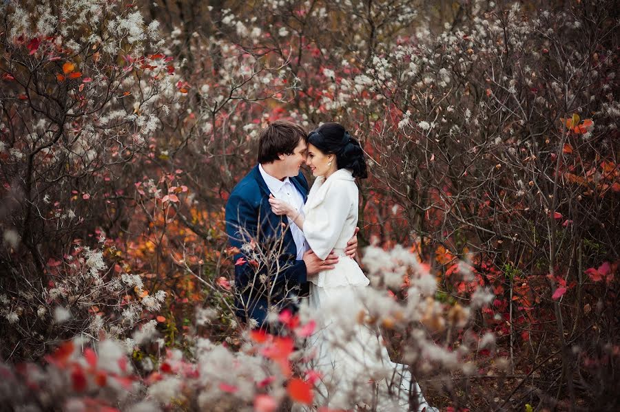 Wedding photographer Aleksandr Shtabovenko (stalkeralex). Photo of 23 February 2017