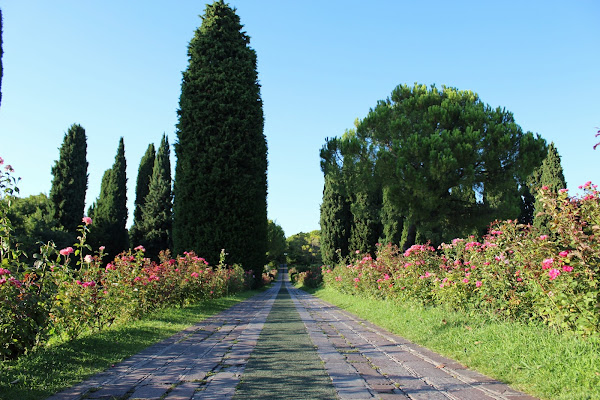 La via di Nikol