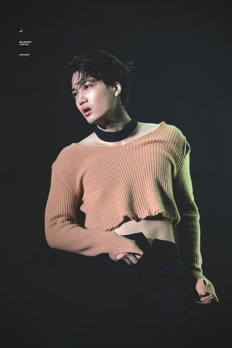 kai-croptop