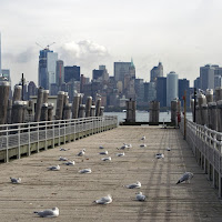 vista da ellis island di 