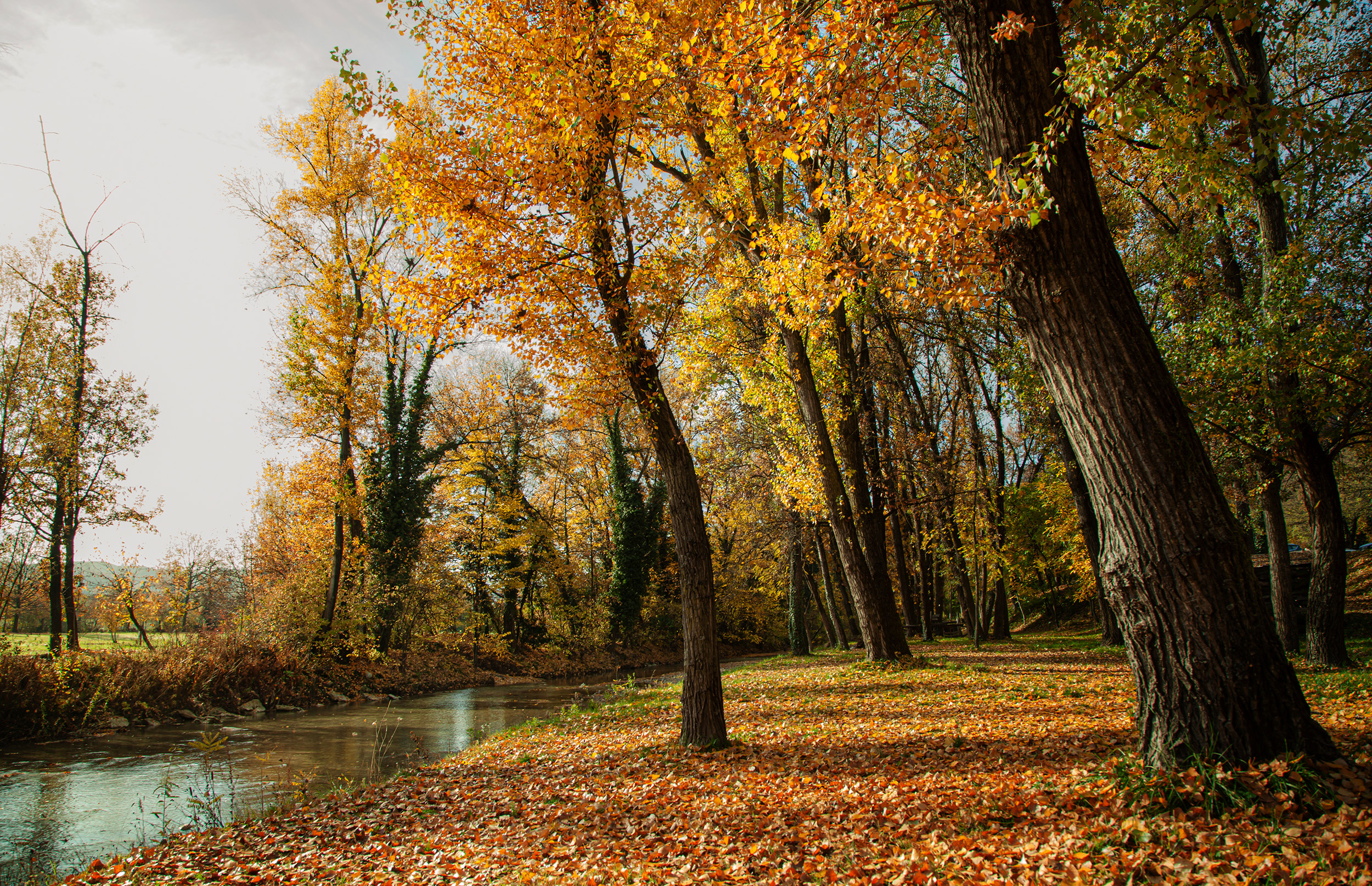 Autunno in Vernasca di davide_giovanni_volpi