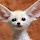 Fennec Foxes New Tab Animal Theme