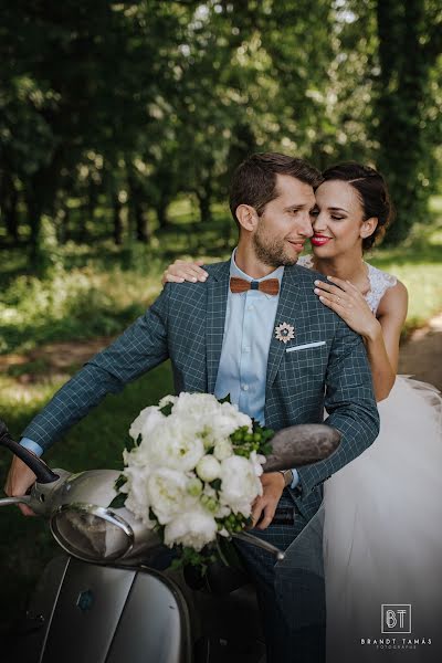 Düğün fotoğrafçısı Tamás Brandt (tamasbrandt). 4 Temmuz 2019 fotoları