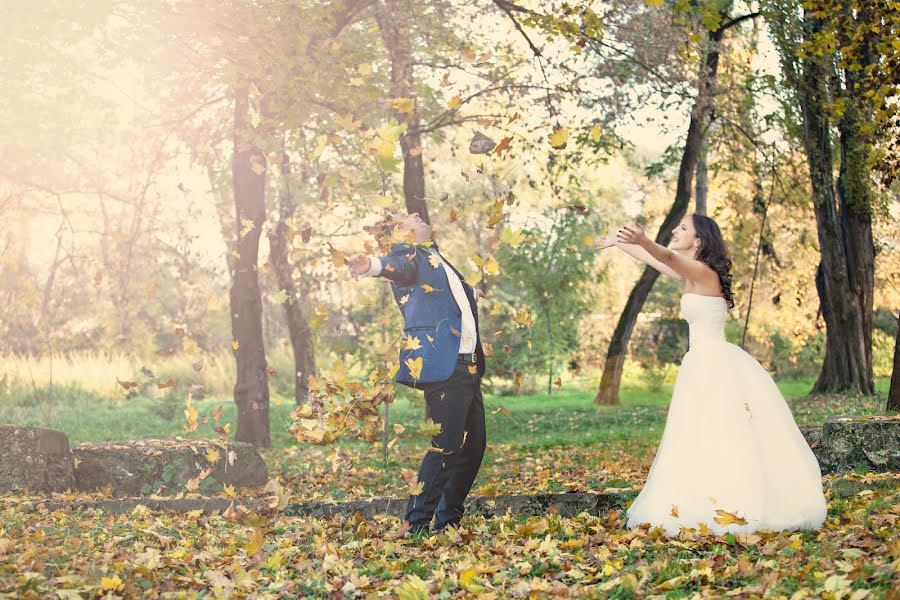 Fotografo di matrimoni Alida Boari (boari). Foto del 5 novembre 2015