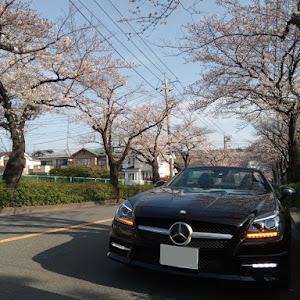 SLK R172