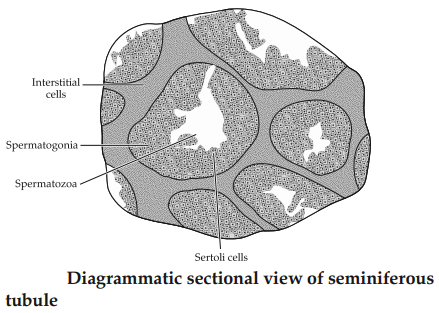 Solution Image