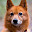 Finnish Spitz Themes & New Tab