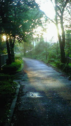 w23w_Test_DF_01 poster 1