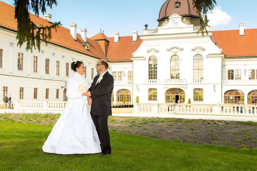 Wedding photographer Zsolt Miseta (bestphoto4u). Photo of 13 February 2016