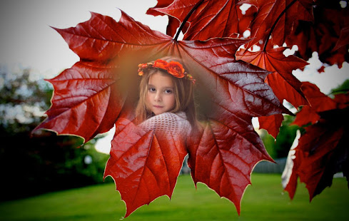 Leaf Photo Frames(圖2)-速報App