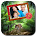 Jungle Photo Frames New