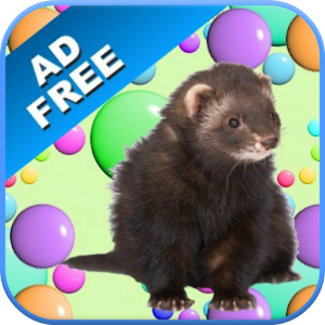 Ferret Games & Sounds logo
