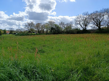 terrain à Noe (31)