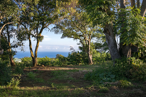 Land 3