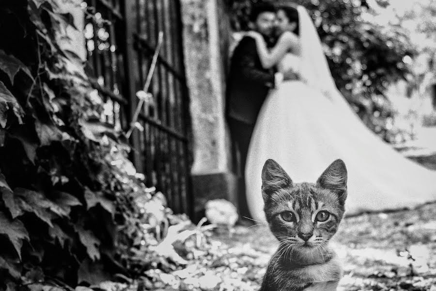 Wedding photographer Dino Sidoti (dinosidoti). Photo of 12 October 2017