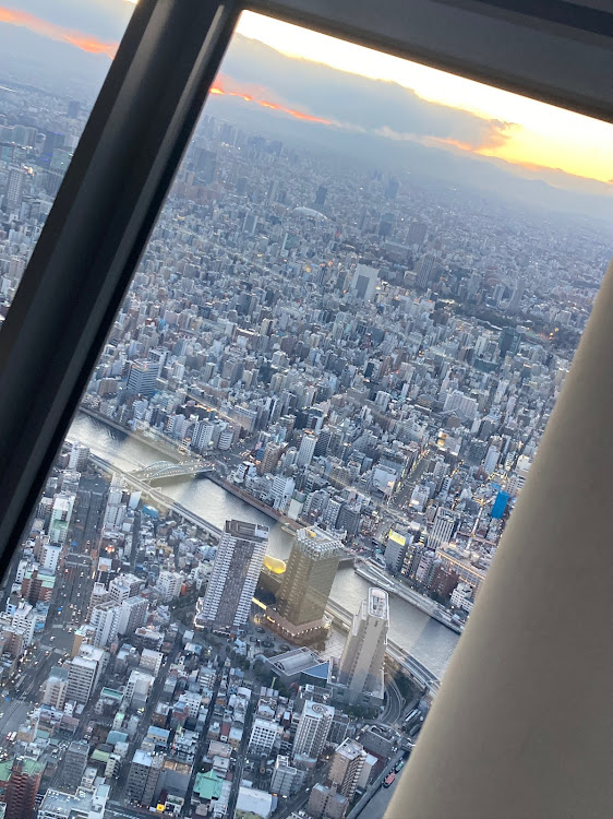 デリカミニの東京旅行の思い出・東京タワー・スカイツリー・ユニコーンガンダムに関するカスタム事例の投稿画像19枚目