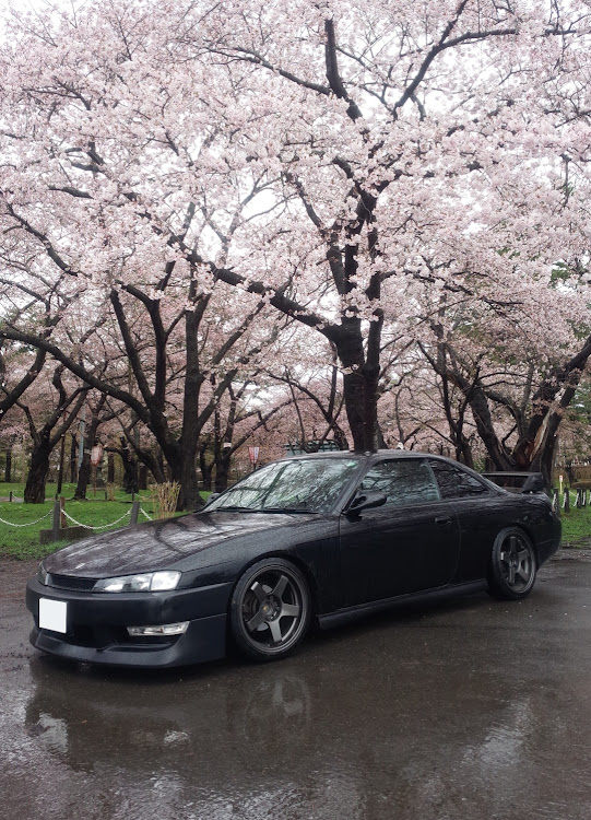 シルビアの愛車を1行で紹介・青森・厄年・２月も宜しくお願いします・2021春撮影より投稿に関するカスタム事例の投稿画像1枚目