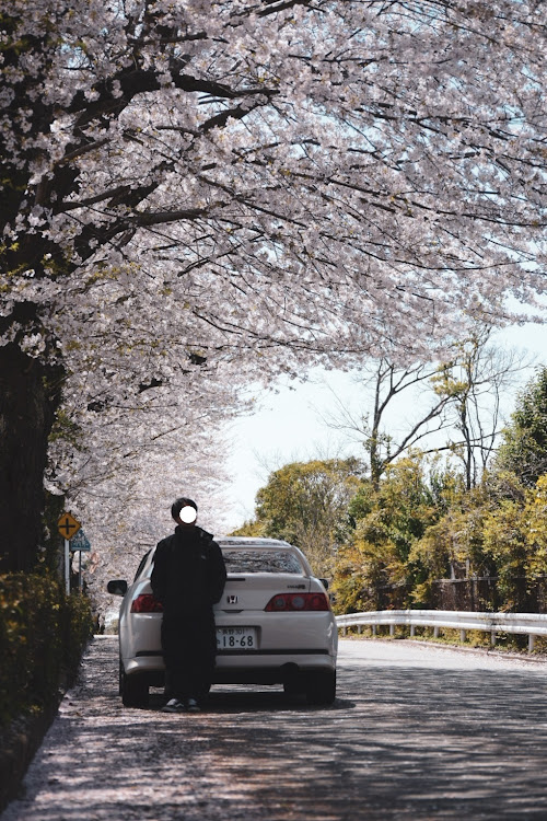 の投稿画像3枚目