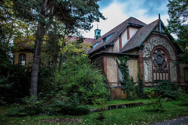 Il bosco nella Casa di aledando