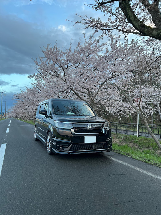 ステップワゴンの桜コラボに関するカスタム事例の投稿画像1枚目