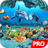 Fish Live Wallpaper 3D Aquarium Background HD :PRO 1.2 (Paid)