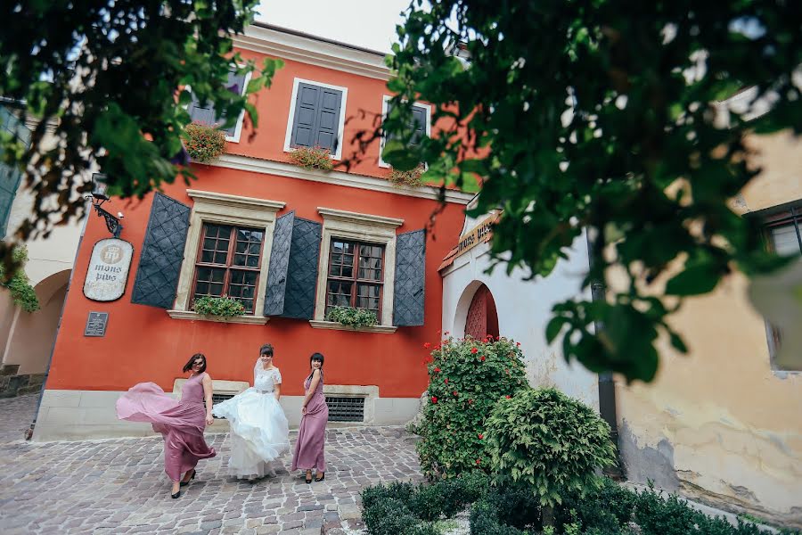 Fotografo di matrimoni Oleksandr Kozak (alexmartakozak). Foto del 26 gennaio 2018