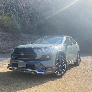 RAV4 MXAA54