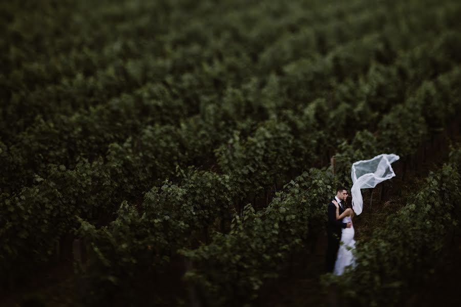 Vestuvių fotografas Filip Prodanovic (prodanovic). Nuotrauka 2018 birželio 27