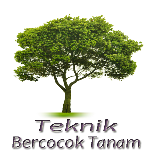 Teknik Bercocok Tanam