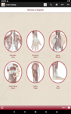 AnatomyMappのおすすめ画像5