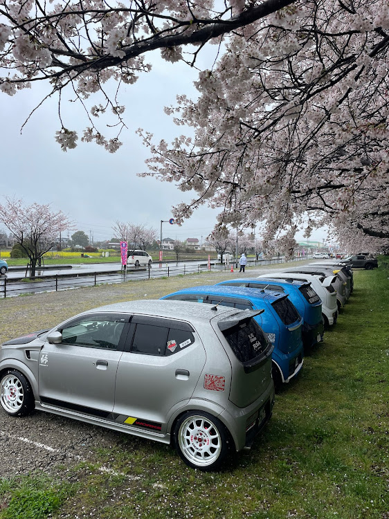 アルトワークスのいいね！&コメントありがとうございます！・オフ会・桜とコラボに関するカスタム事例の投稿画像6枚目