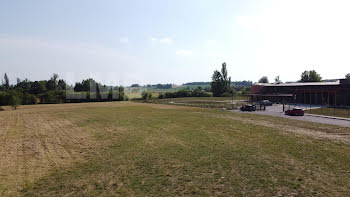 terrain à Montesquieu-Volvestre (31)