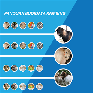 Budidaya Ternak Kambing - náhled