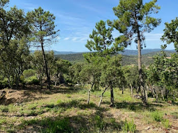 terrain à Grimaud (83)