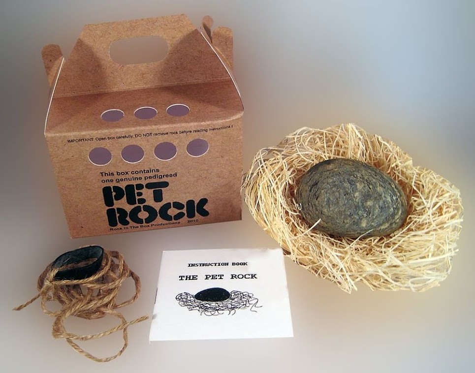 Pet Rock, uma pedra como animal de estimação!