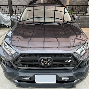 RAV4 MXAA54