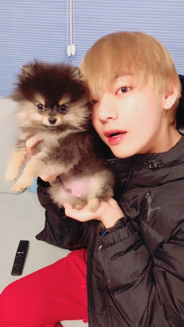 V Yeontan